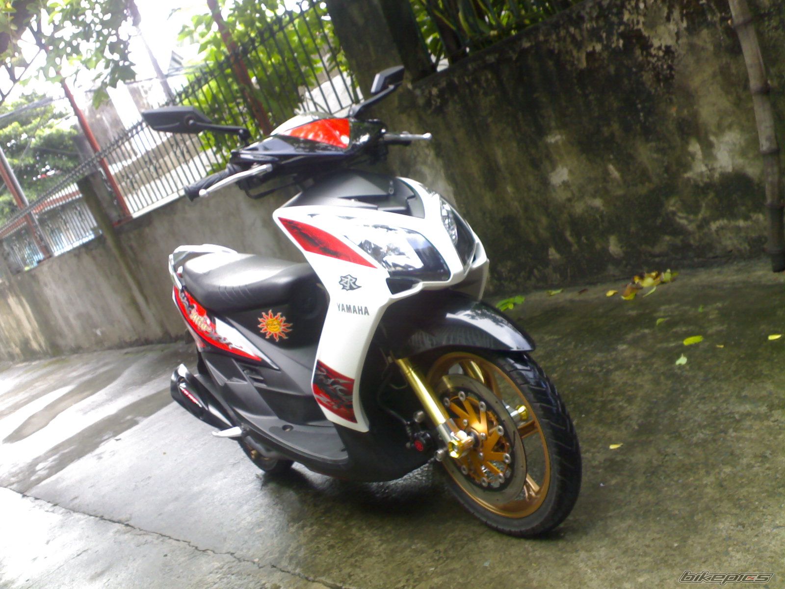 Photo 1687420