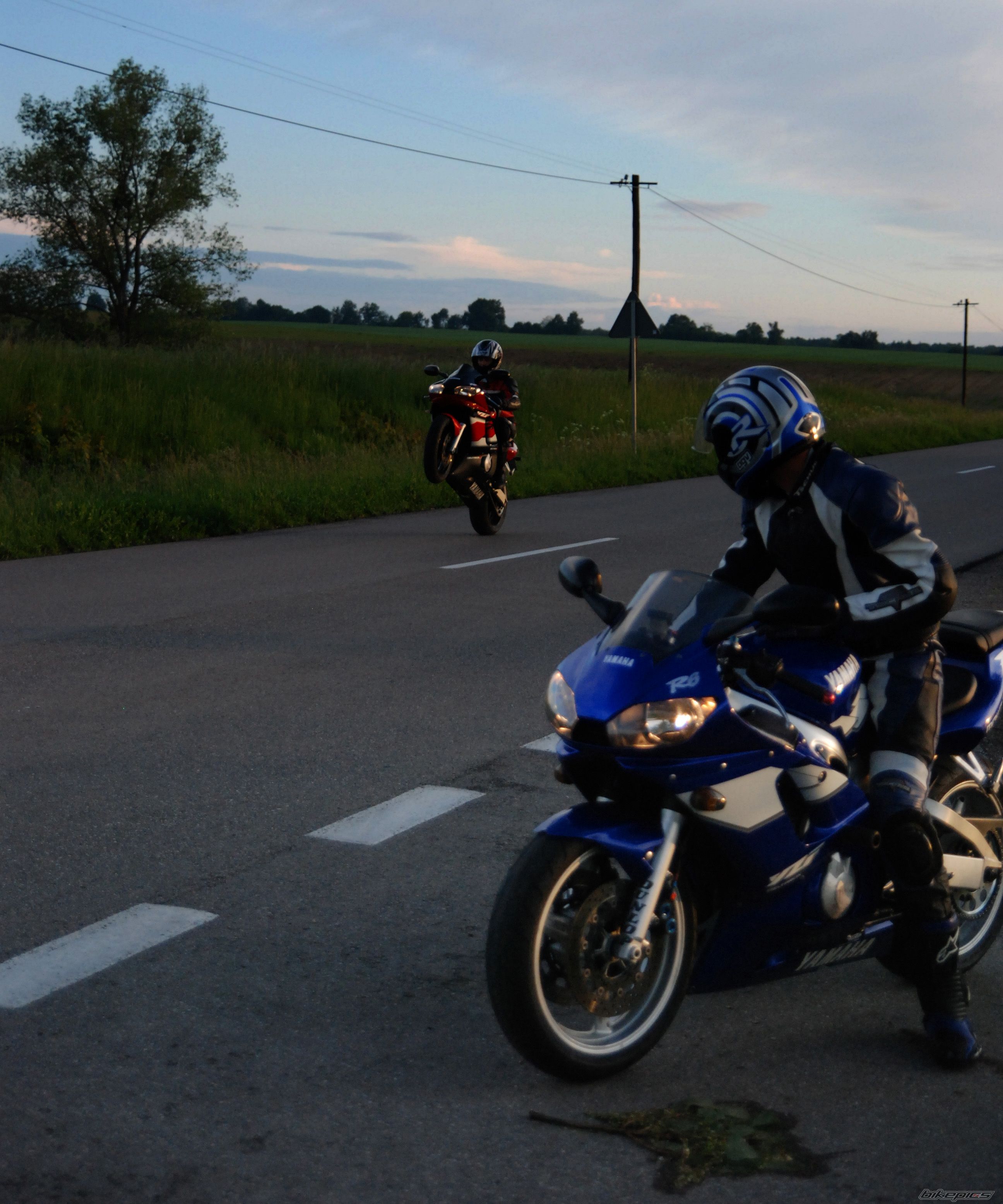 Photo 1687432