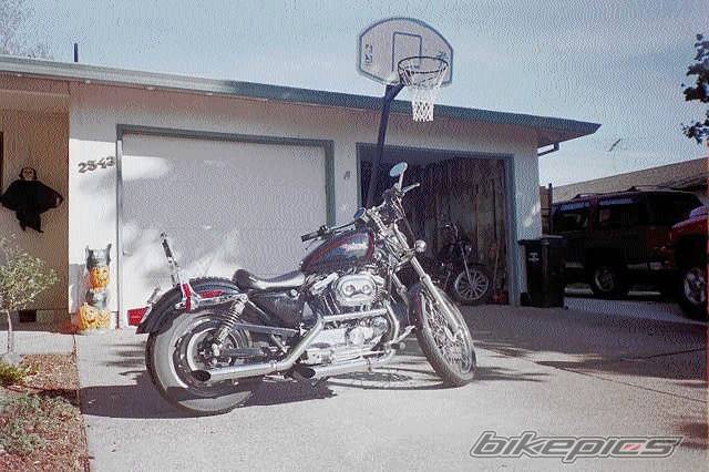 Photo 16875