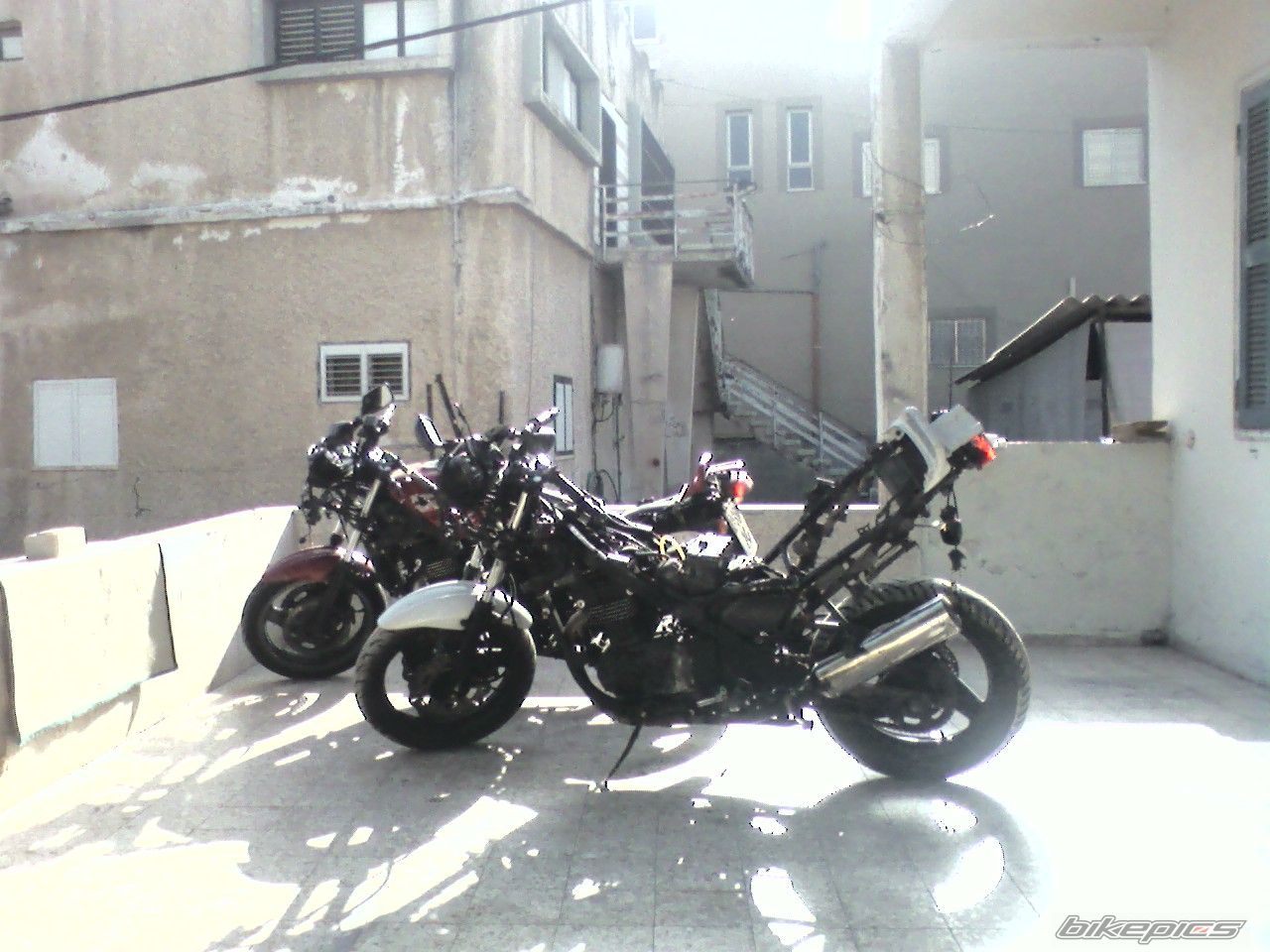 Photo 1687534