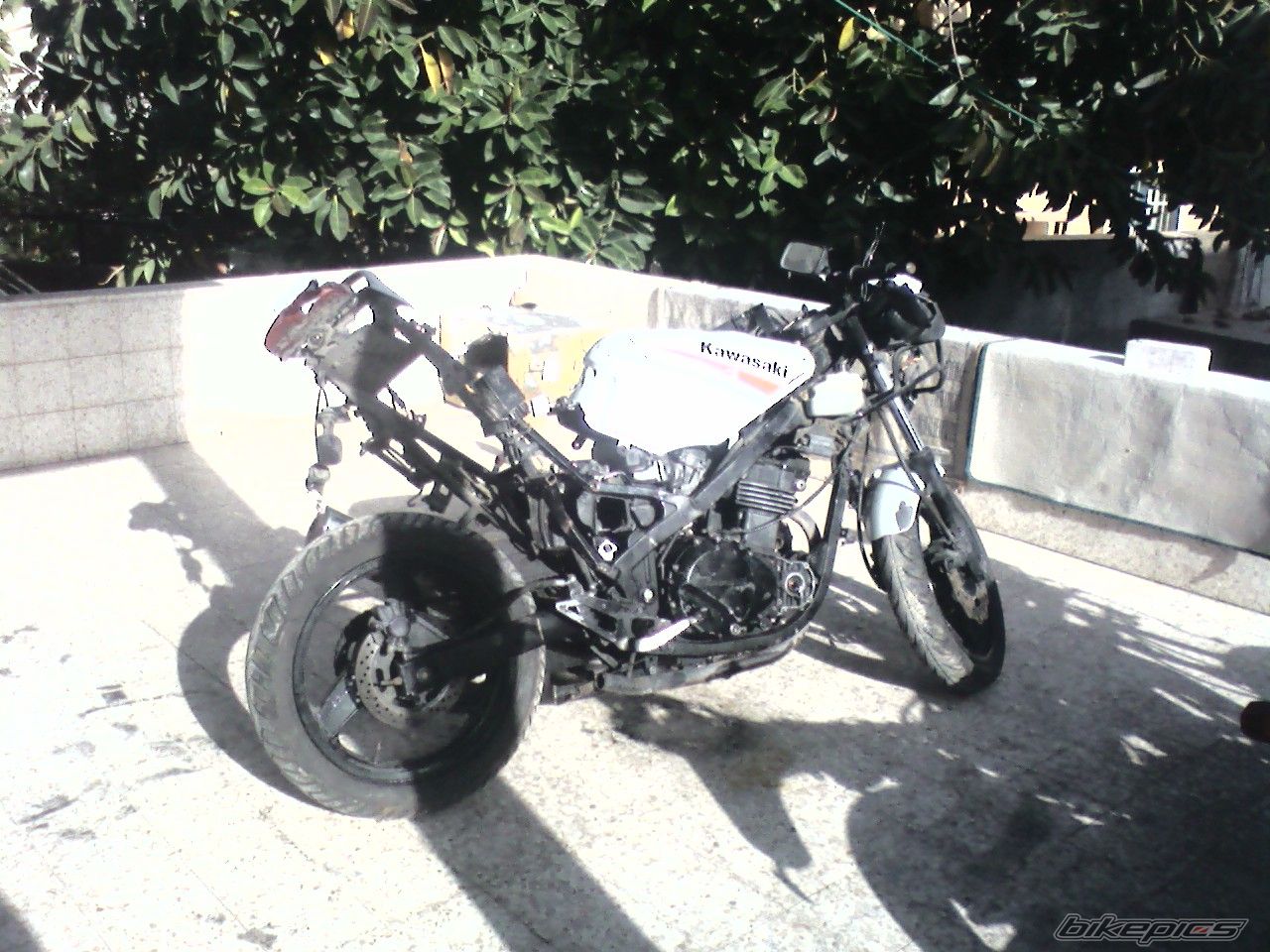 Bike Photo 1687539