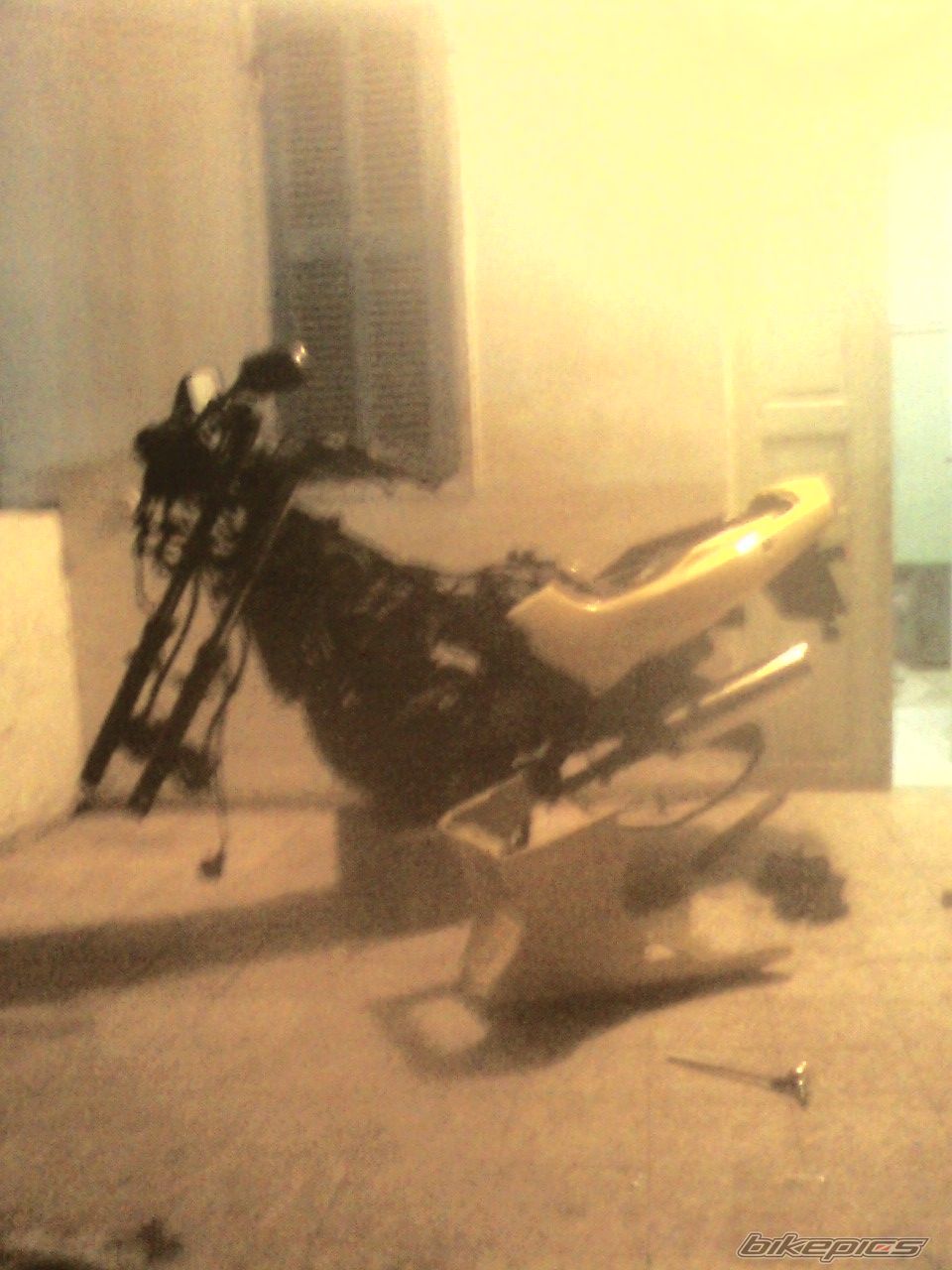 Photo 1687545