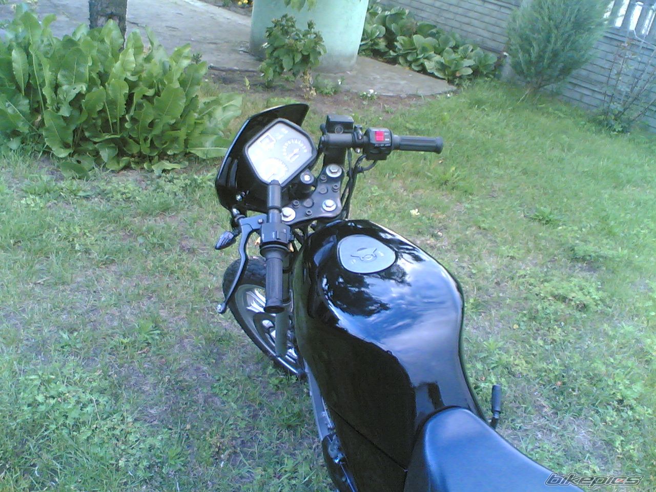 Photo 1687584