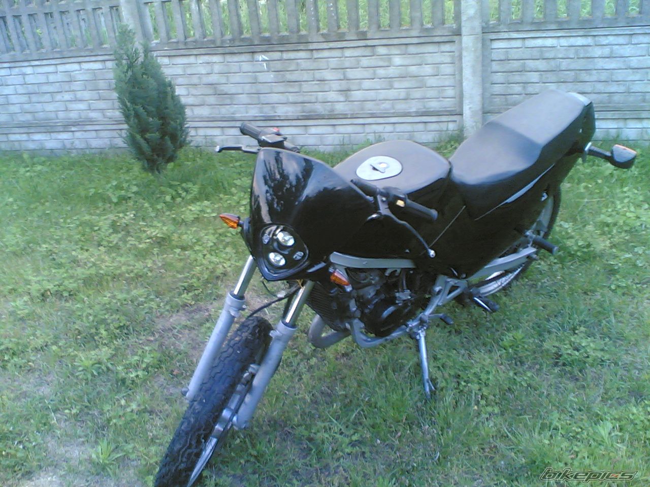 Photo 1687586