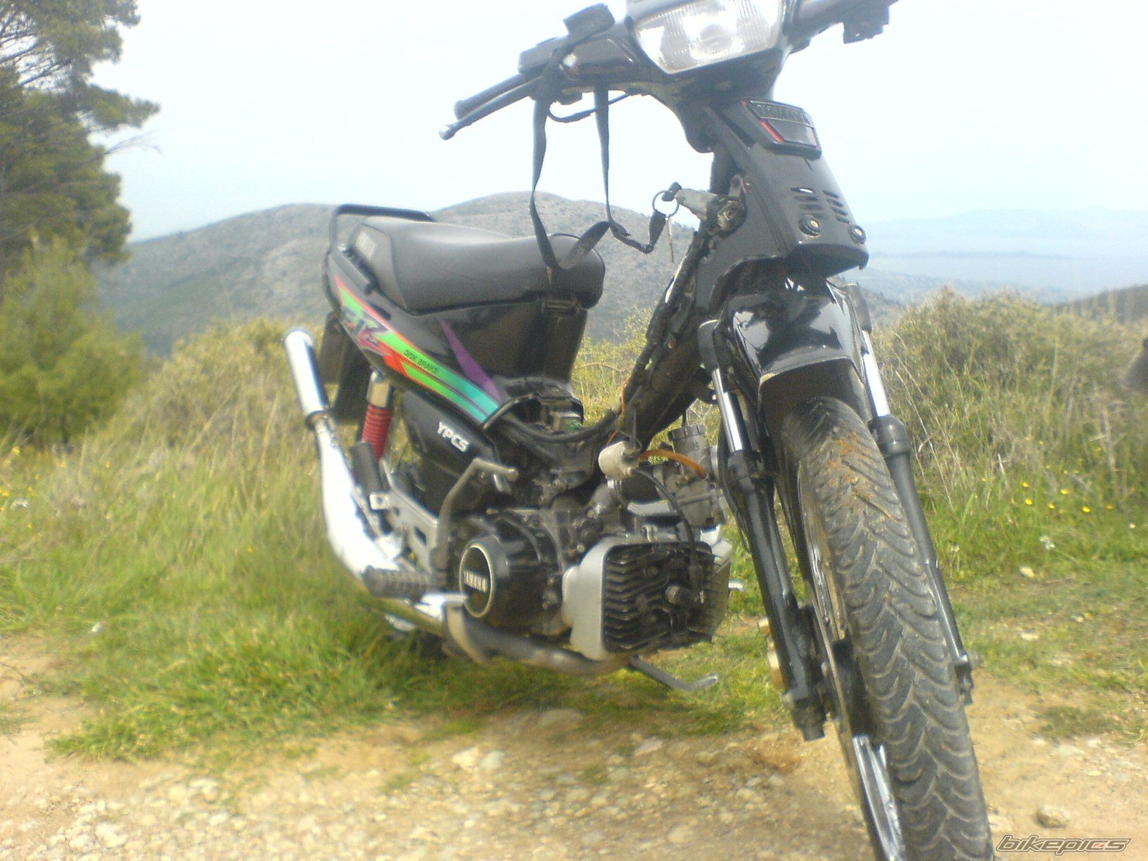 Photo 1687597