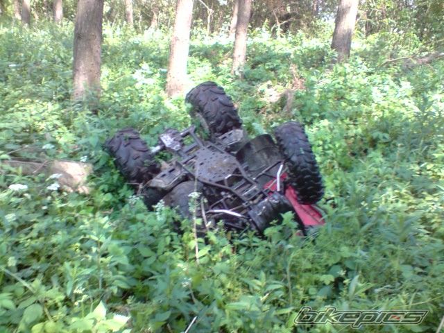 Photo 1687628