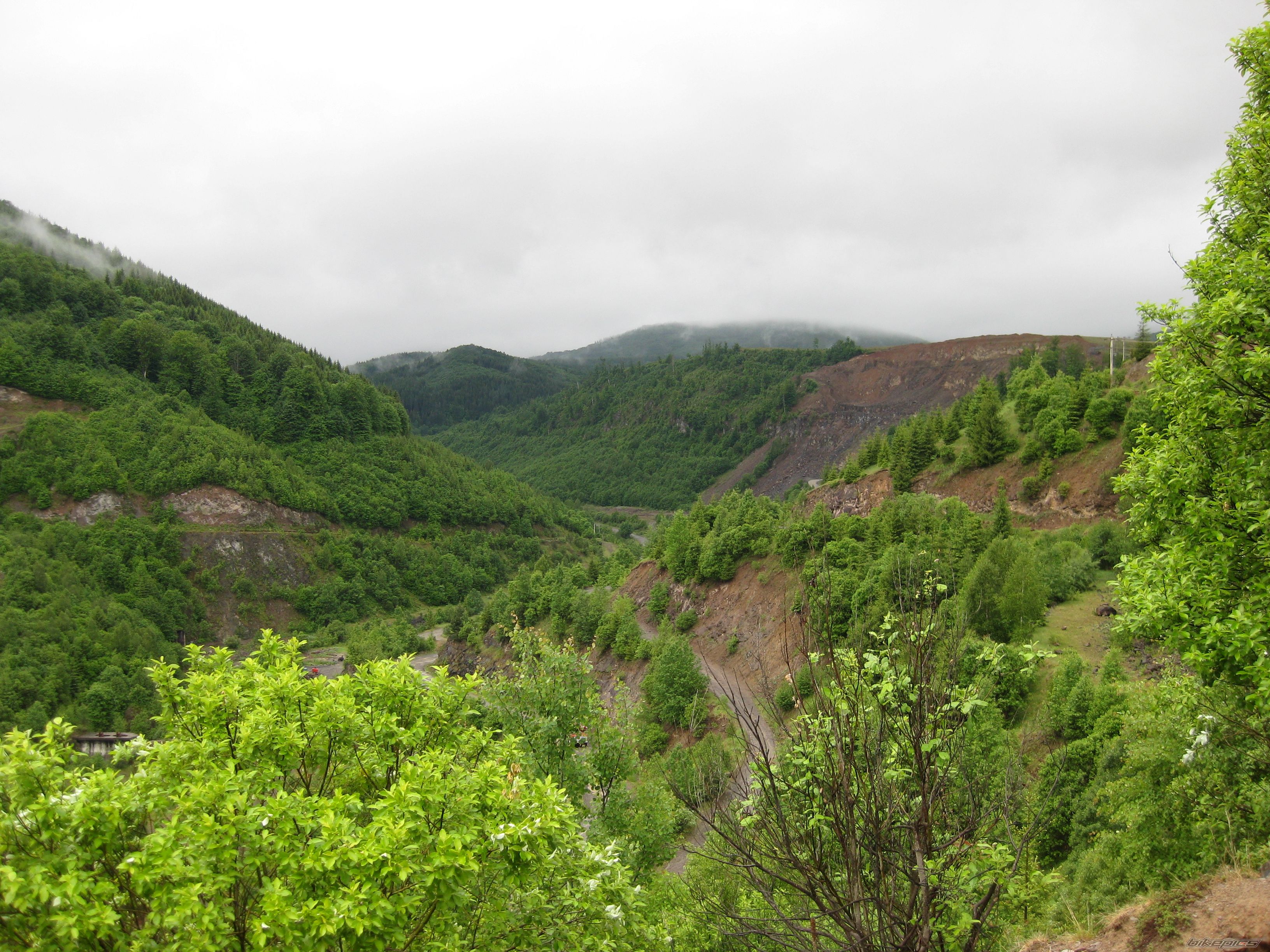 Photo 1687699