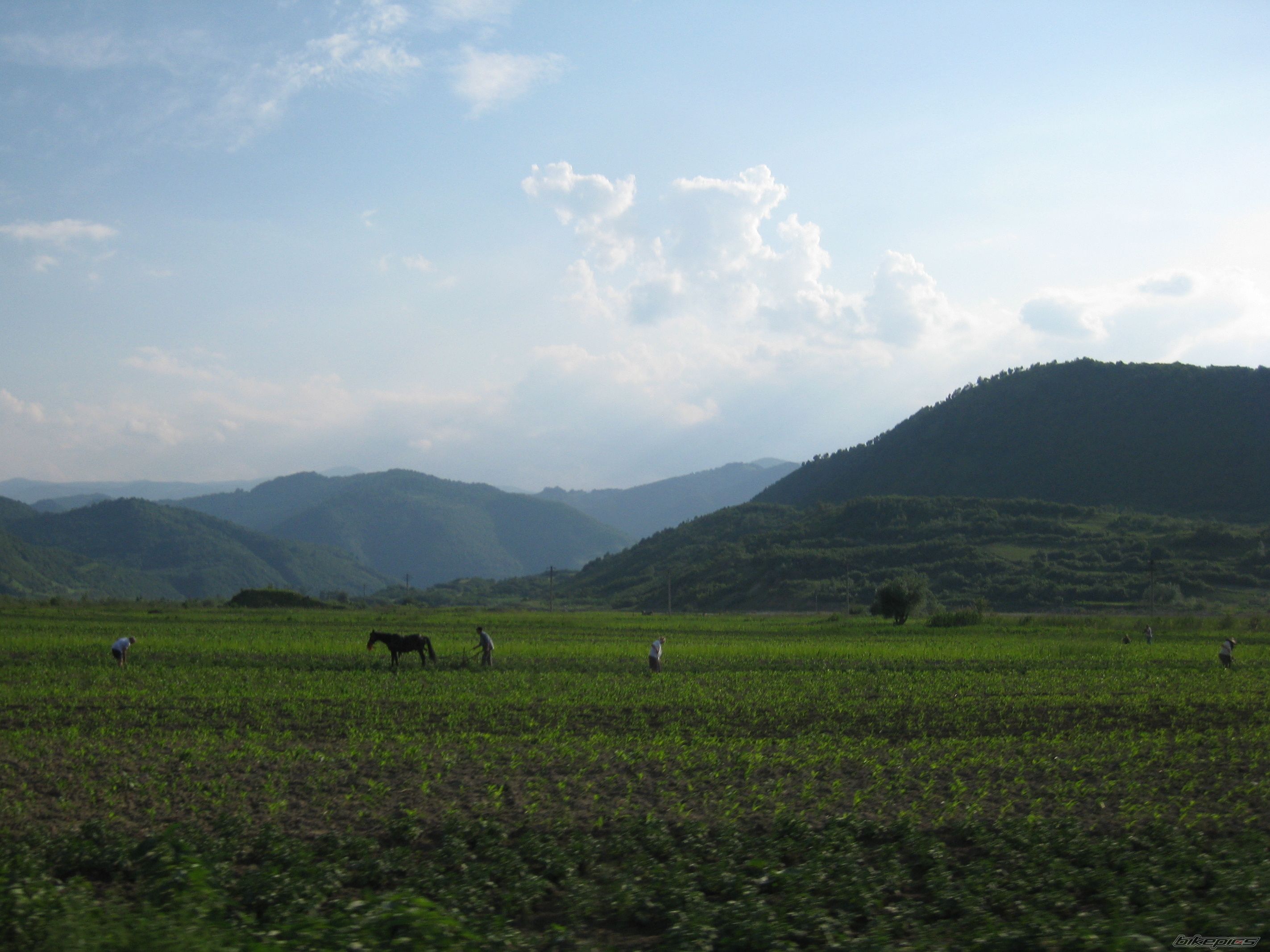 Photo 1687702