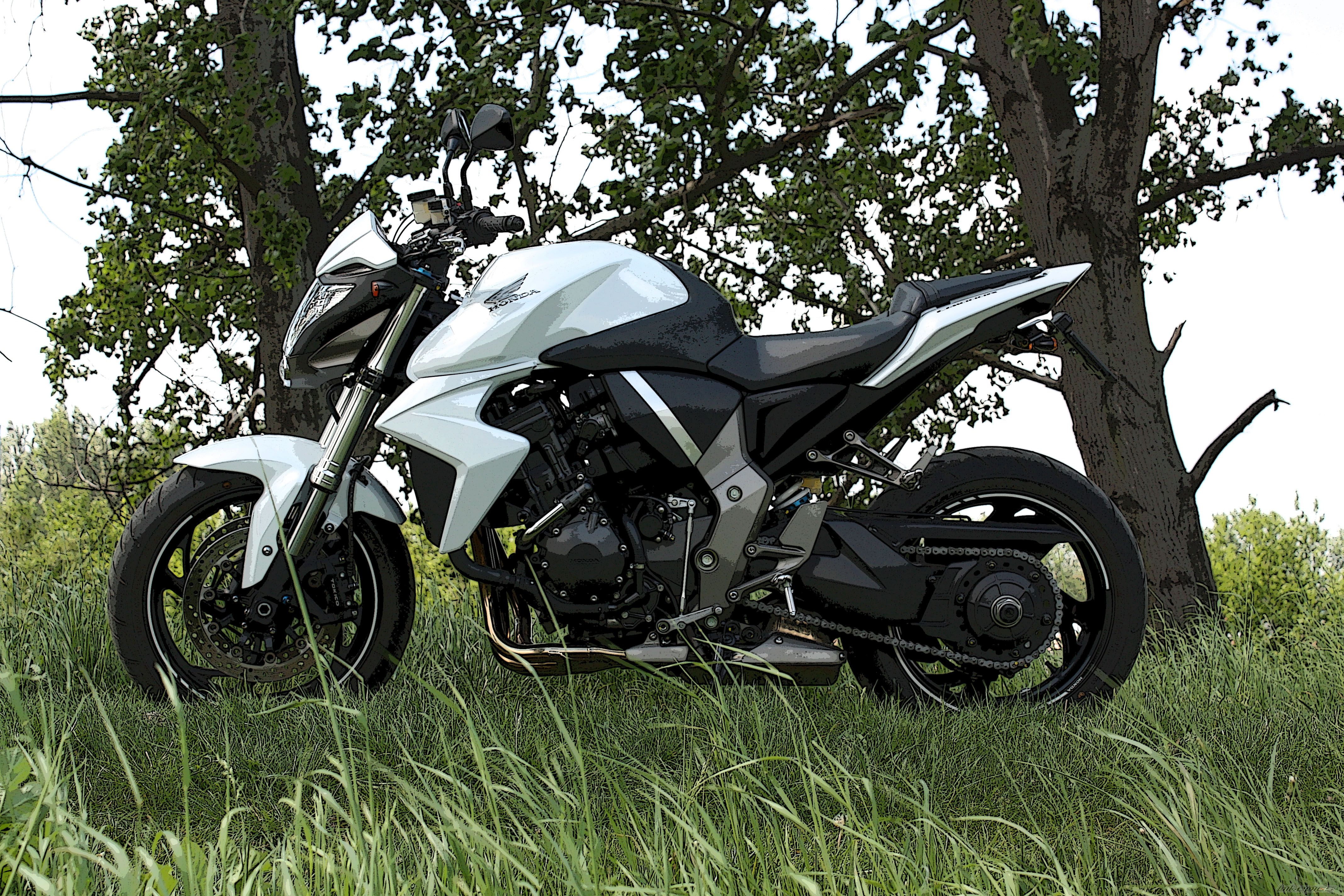 Bike Photo 1687706