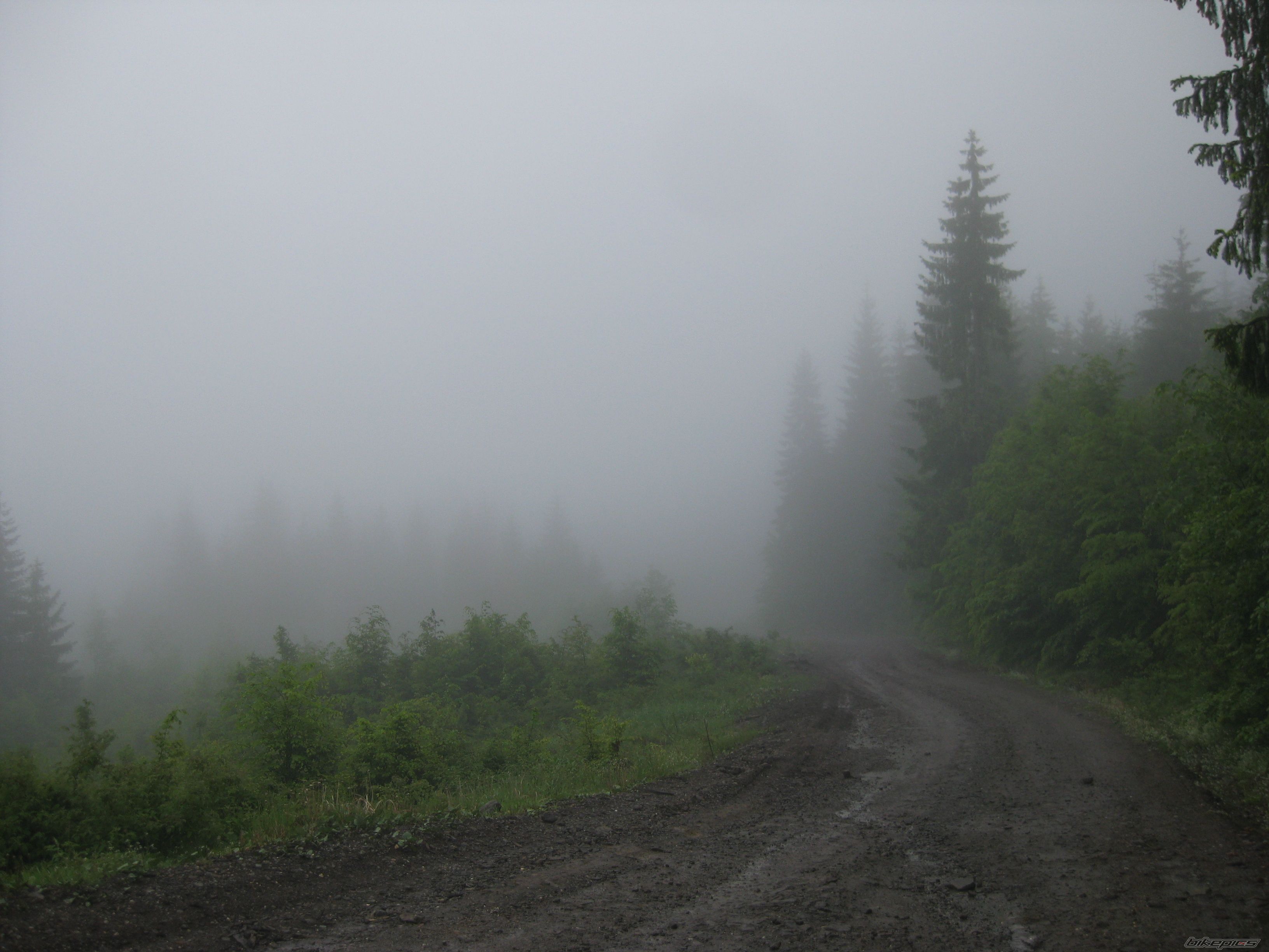 Photo 1687713