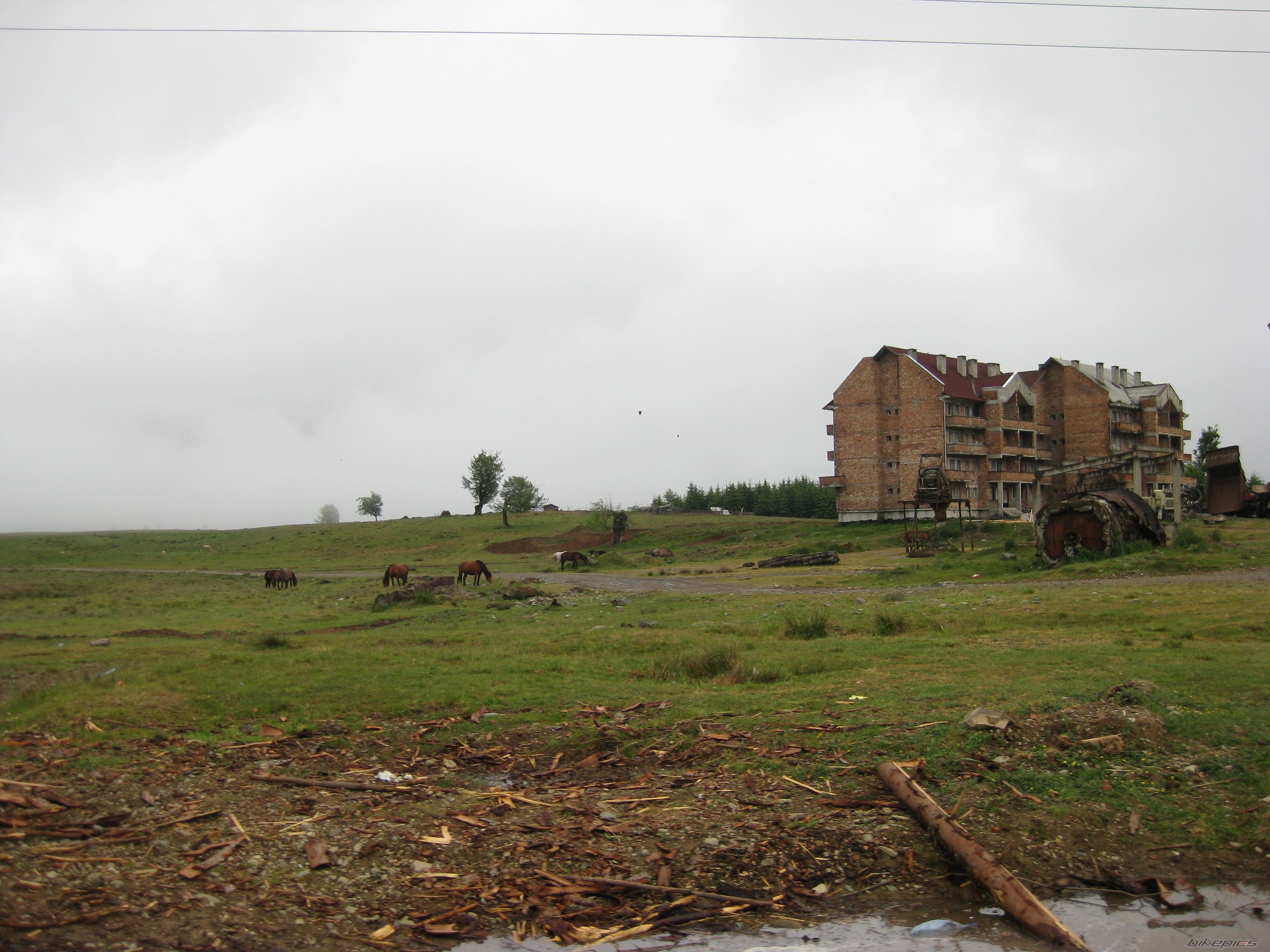 Photo 1687720