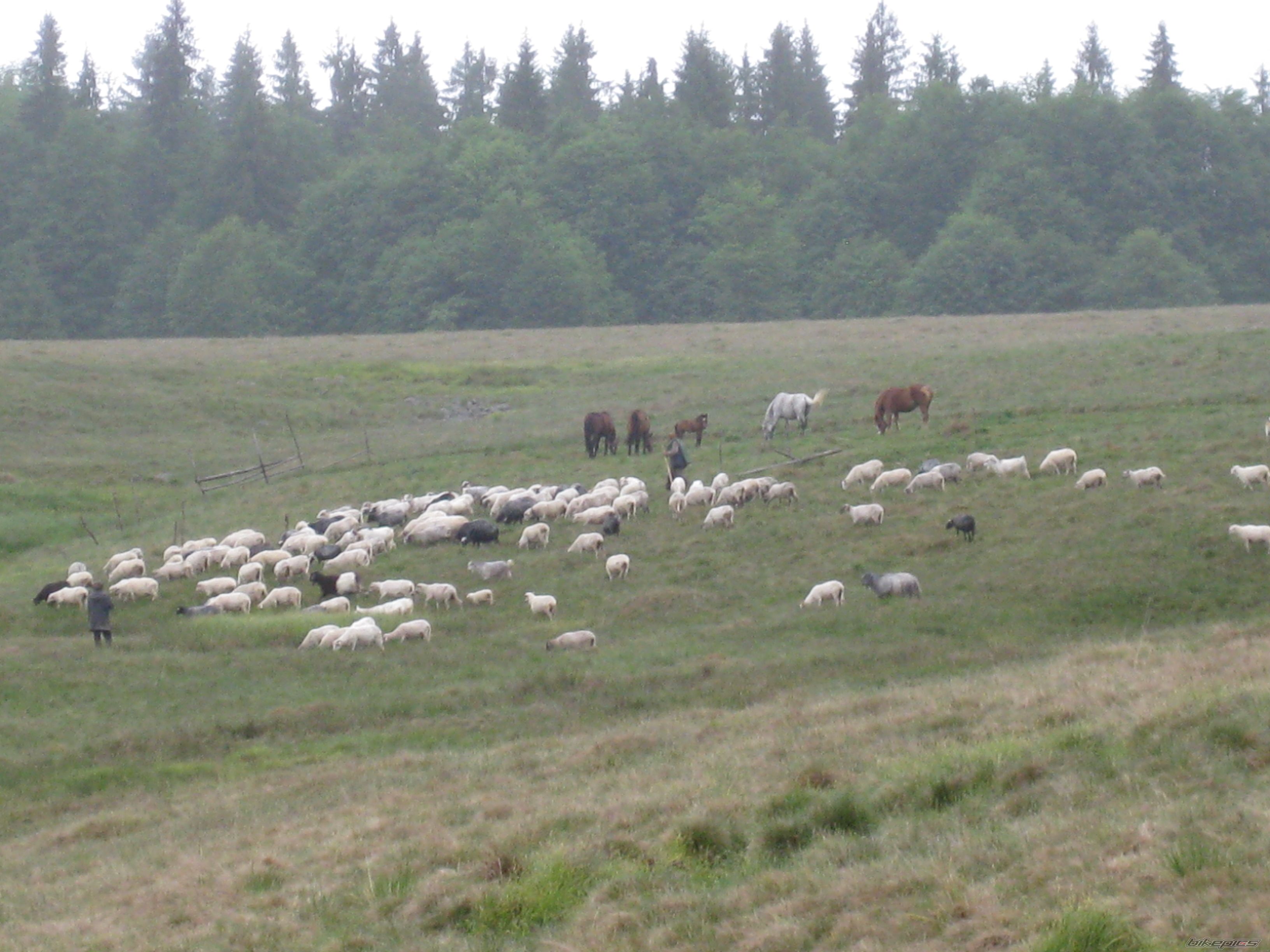 Photo 1687735