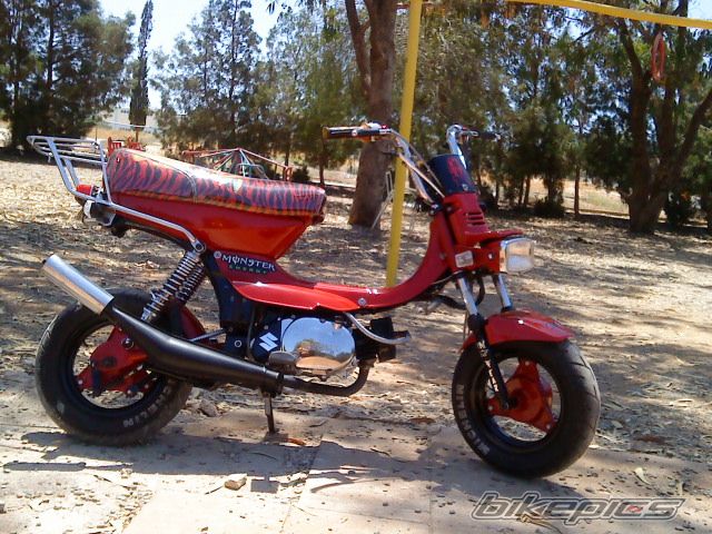 Photo 1687759