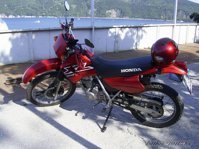 Photo 168777