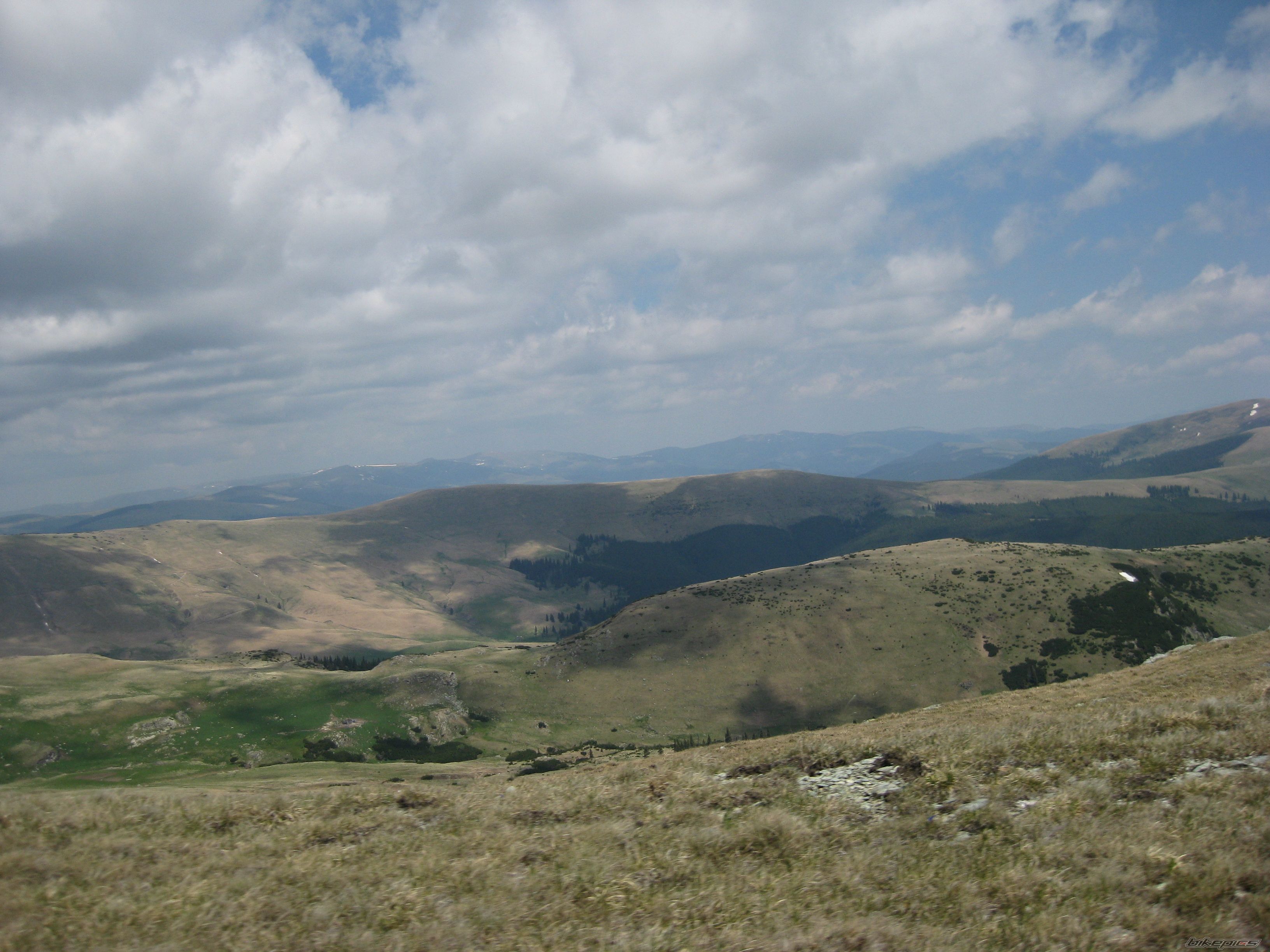 Photo 1687783