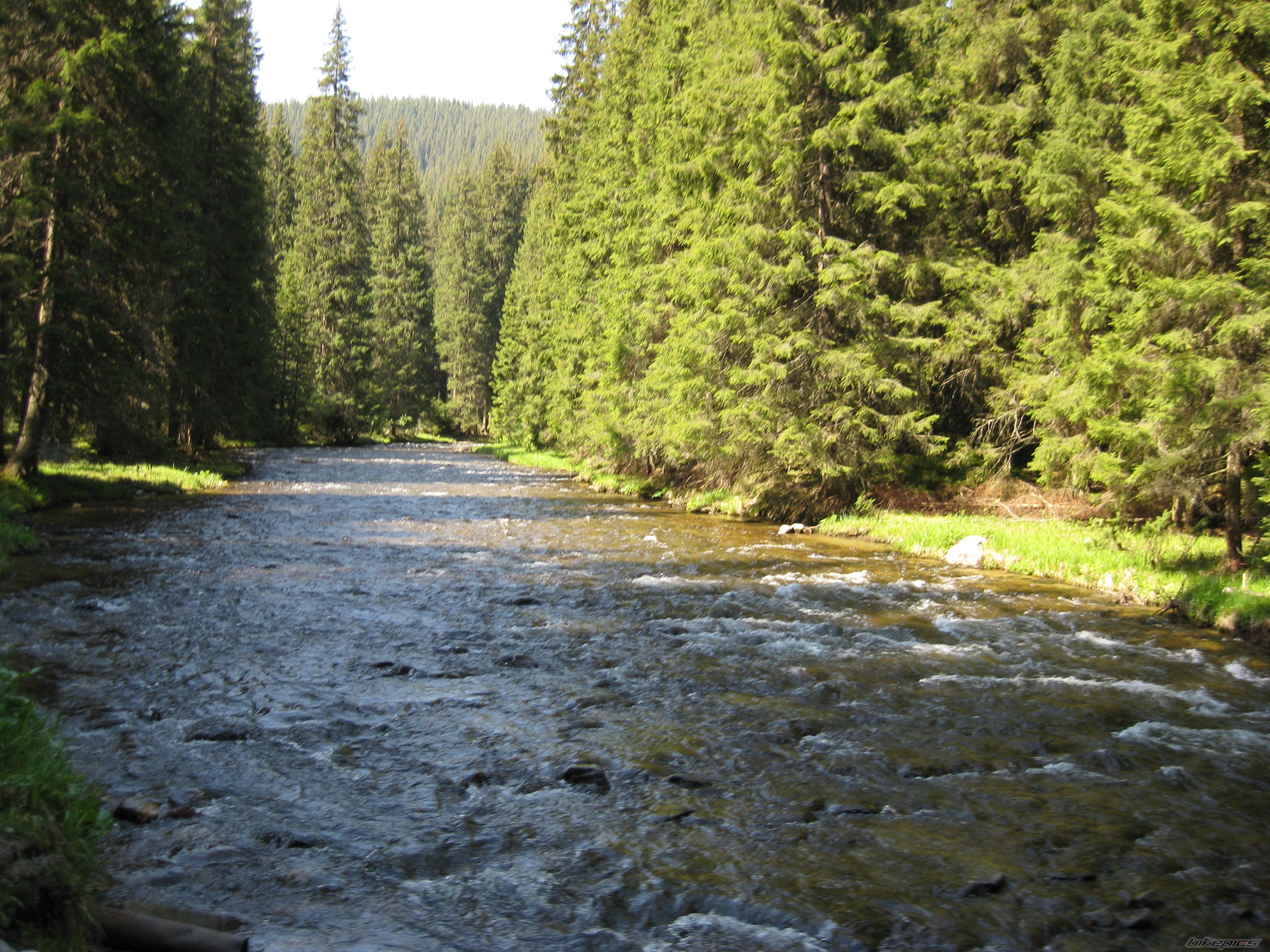 Photo 1687810