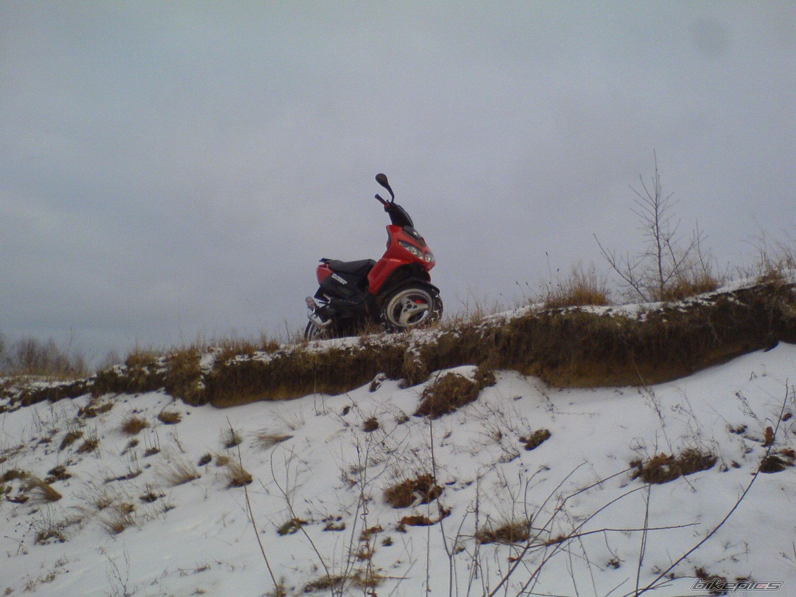 Photo 1688055