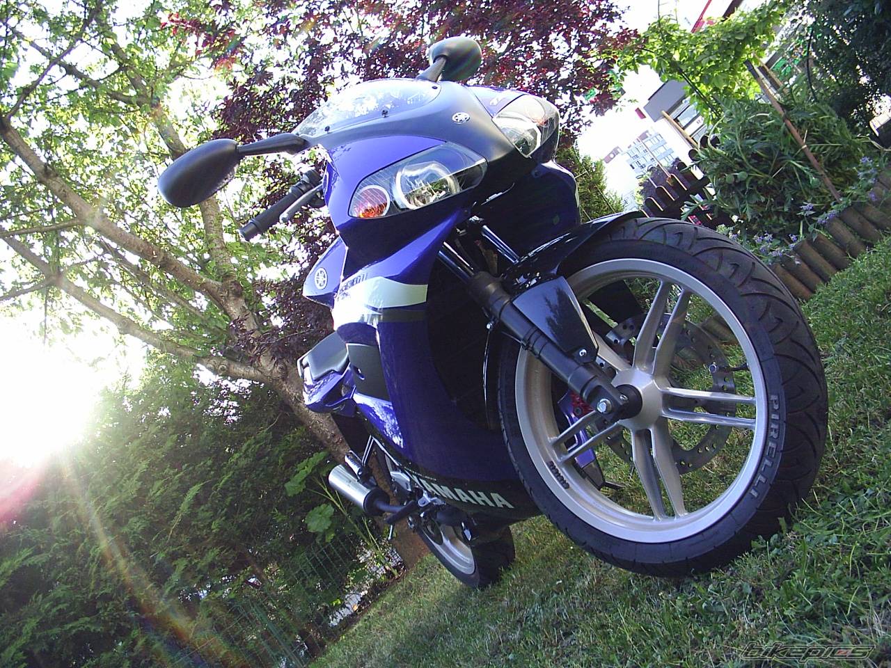 Photo 168811