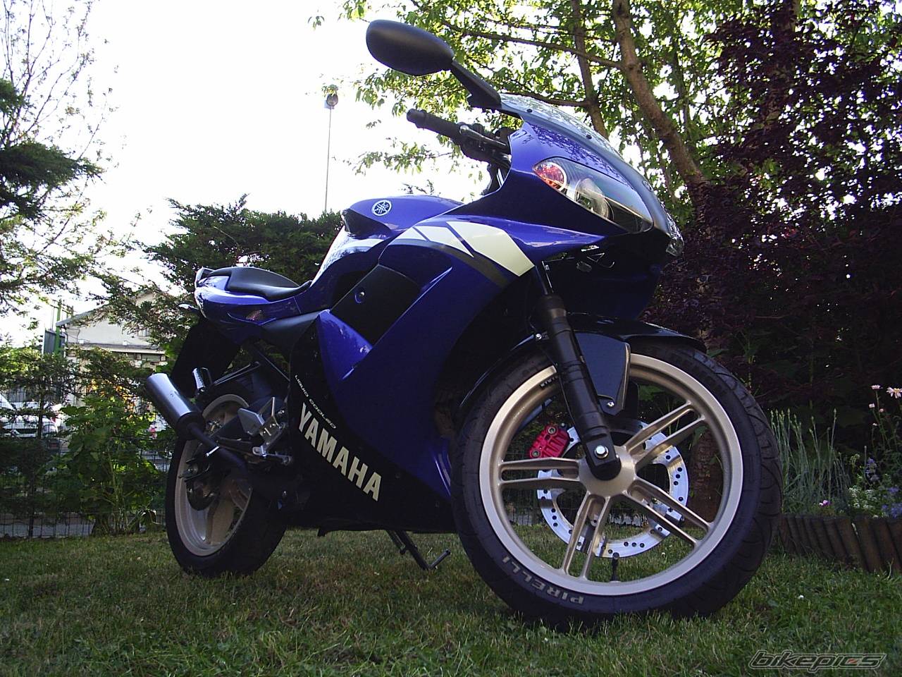 Photo 168816