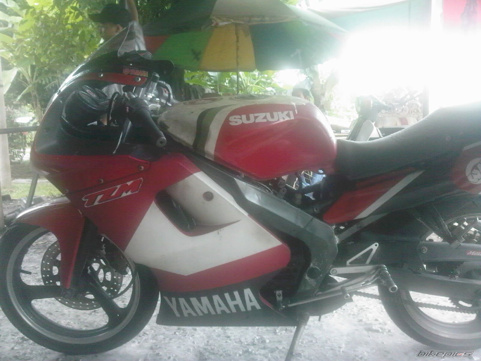 Photo 1688174