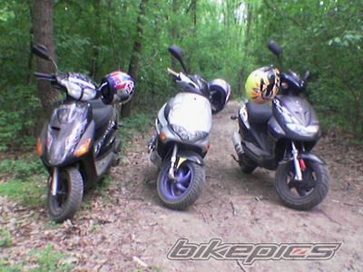 Photo 1688281