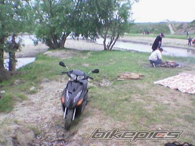 Photo 1688285