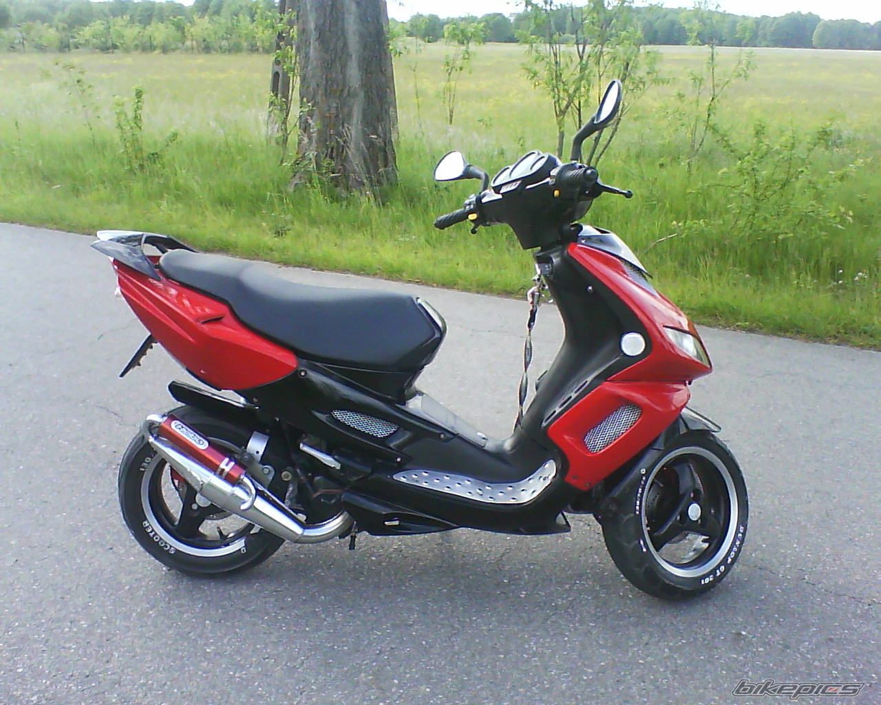Photo 1688394