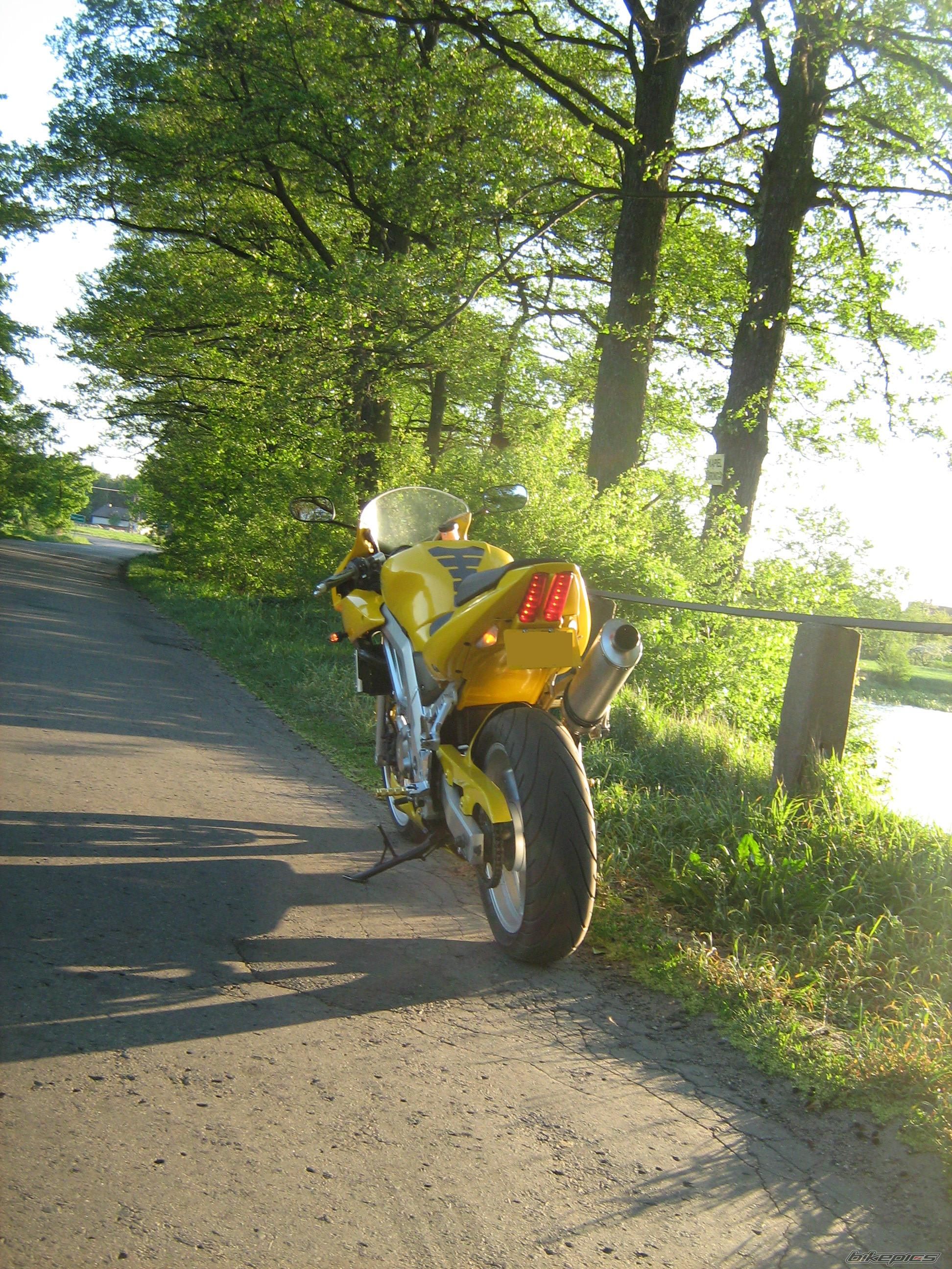 Photo 1689256
