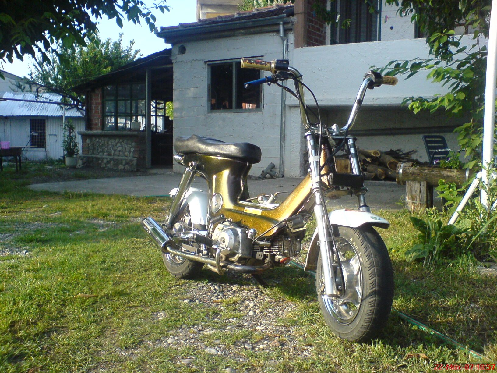 Photo 1689288