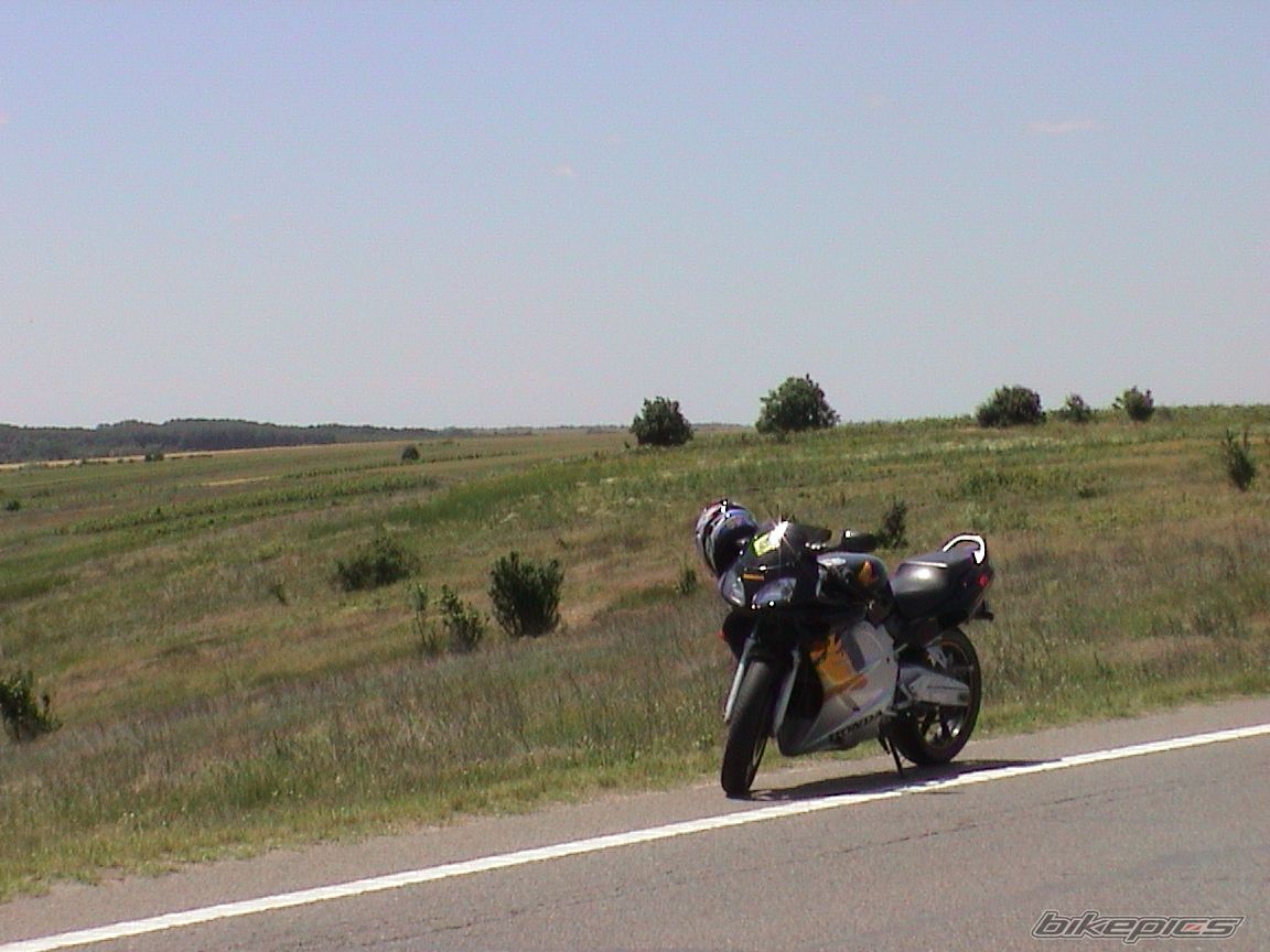 Photo 1689493