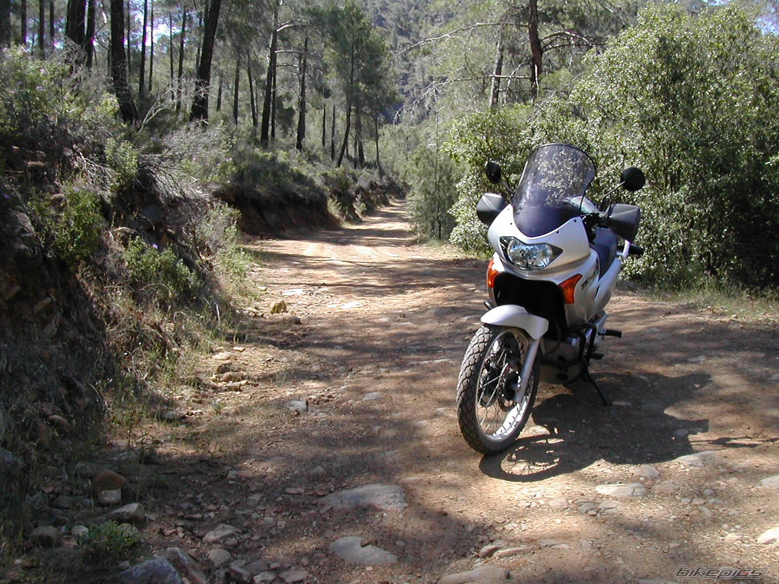 Bike Photo 1689498