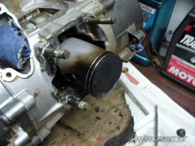 Photo 1689746