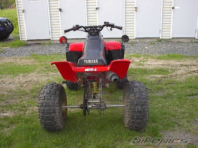 Photo 168988