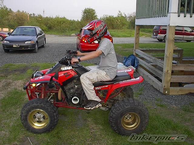 Photo 168990