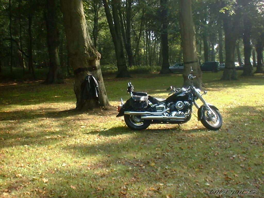 Photo 1689907