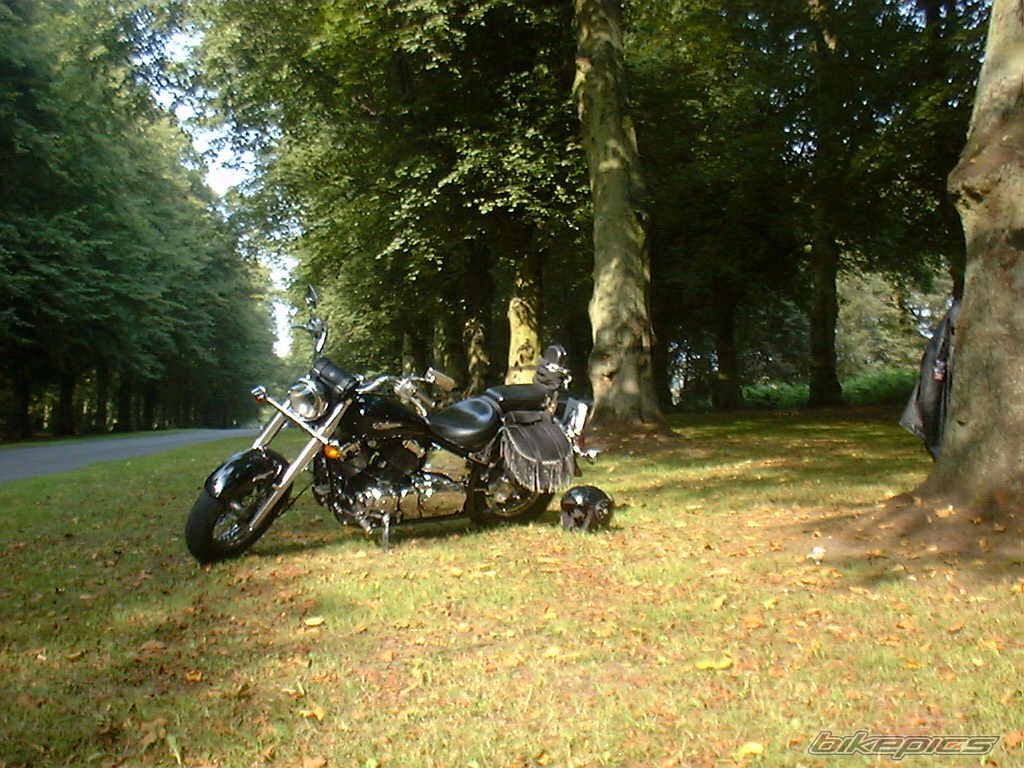 Photo 1689912