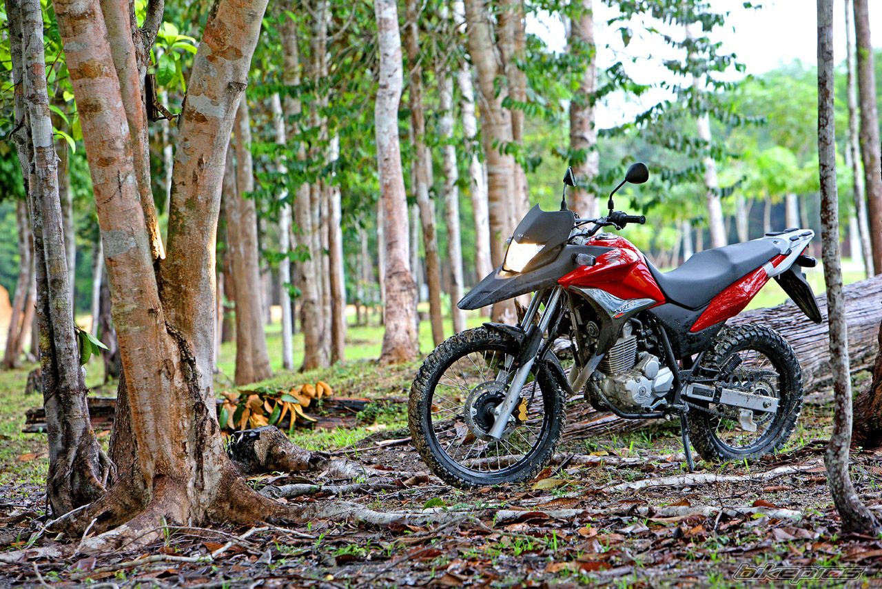 Bike Photo 1689993