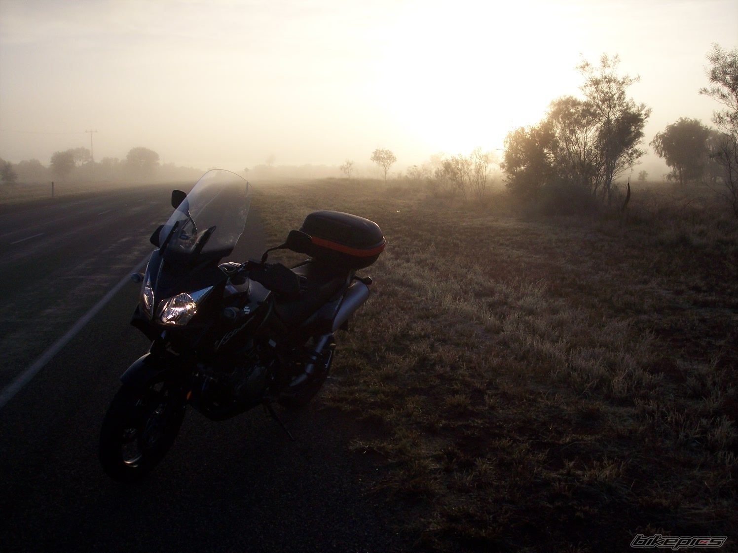 Photo 1690254