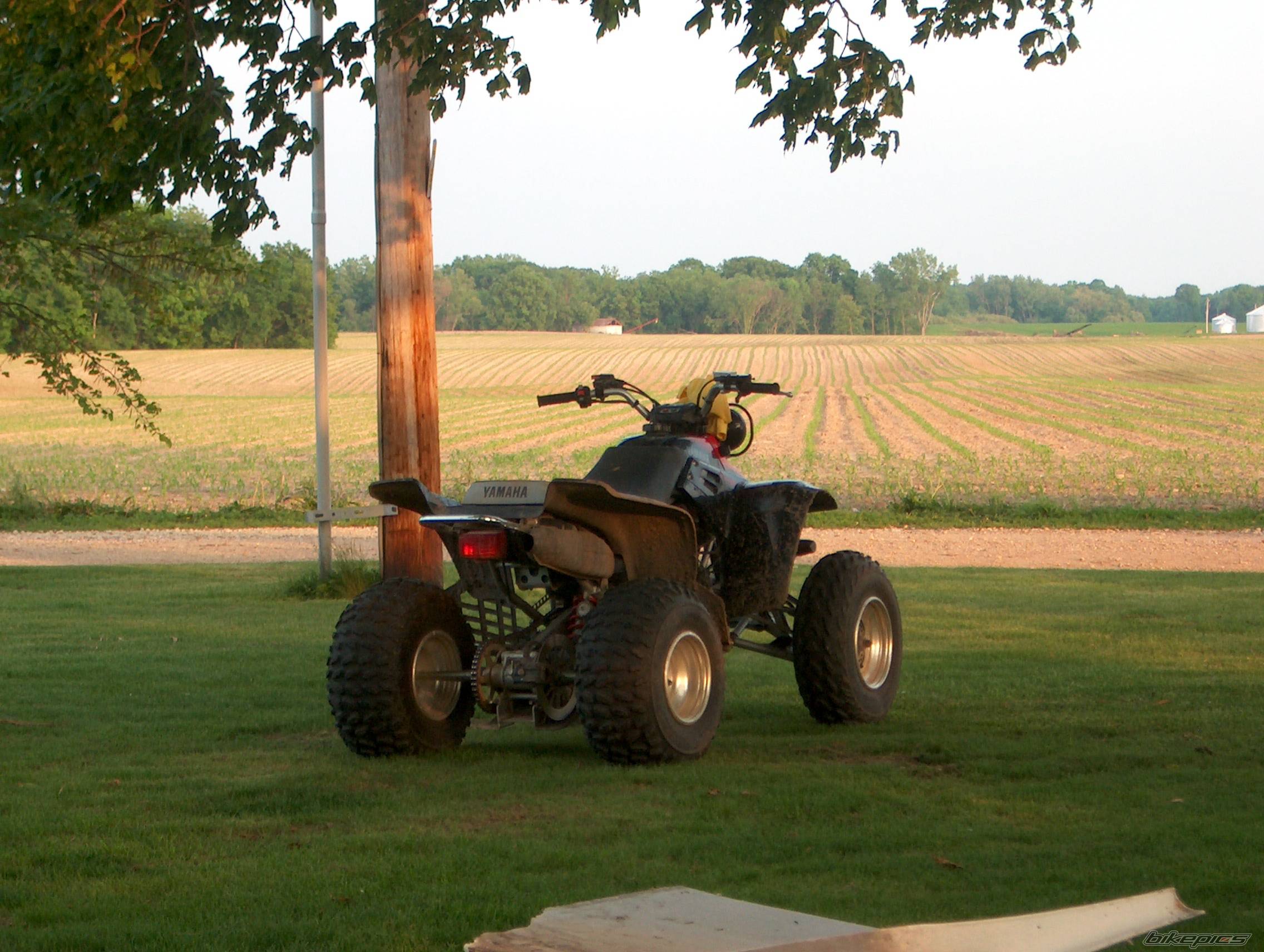 Bike Photo 169058