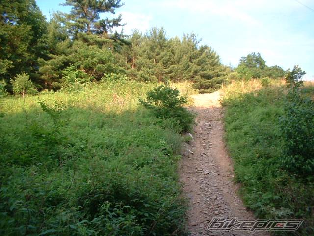 Photo 169103