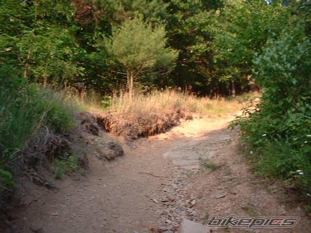 Photo 169104