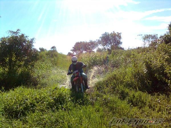 Photo 1691156