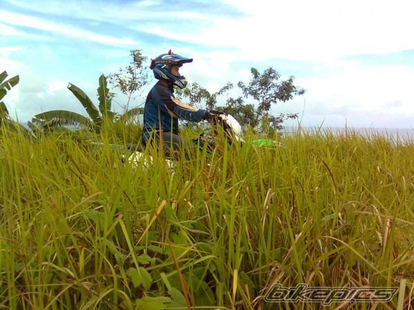 Photo 1691168