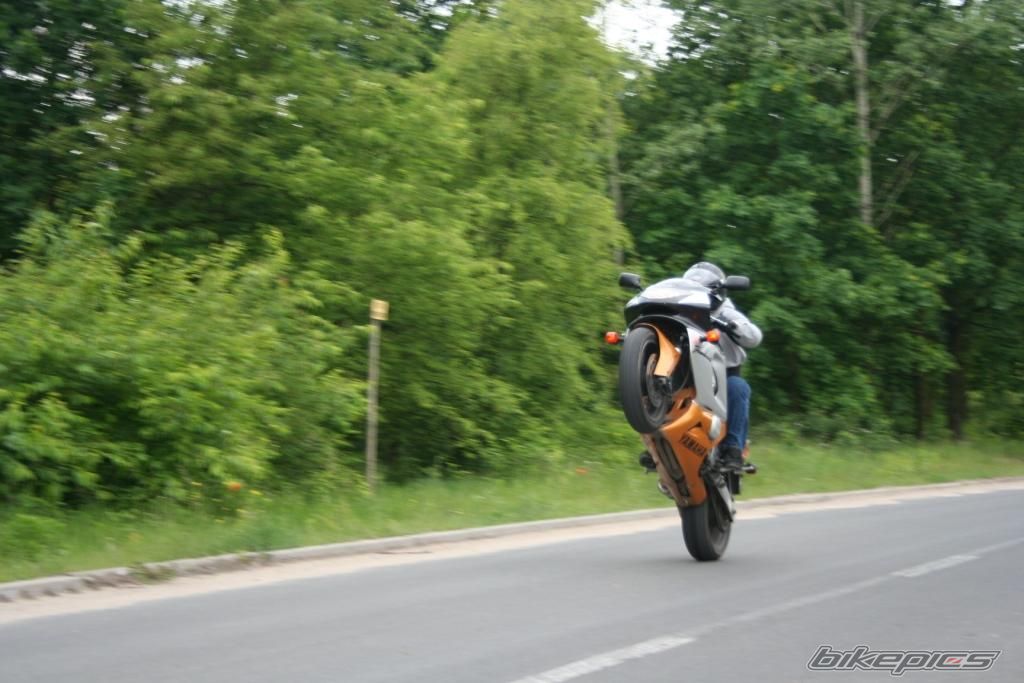 Photo 1691405