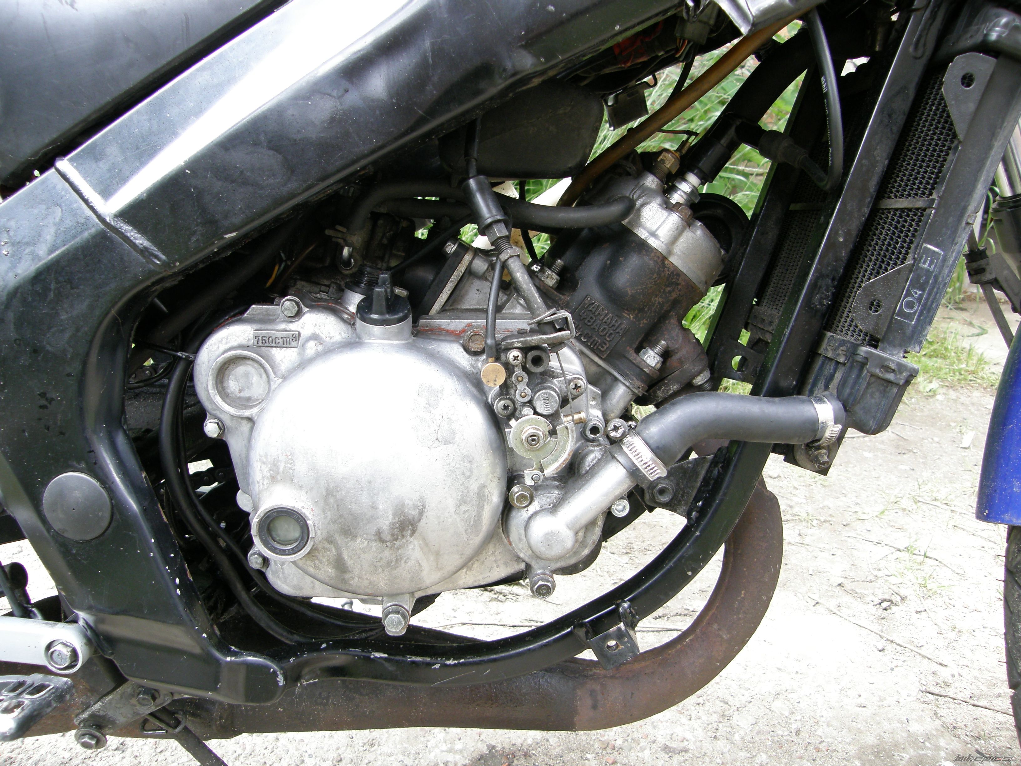 Bike Photo 1691476