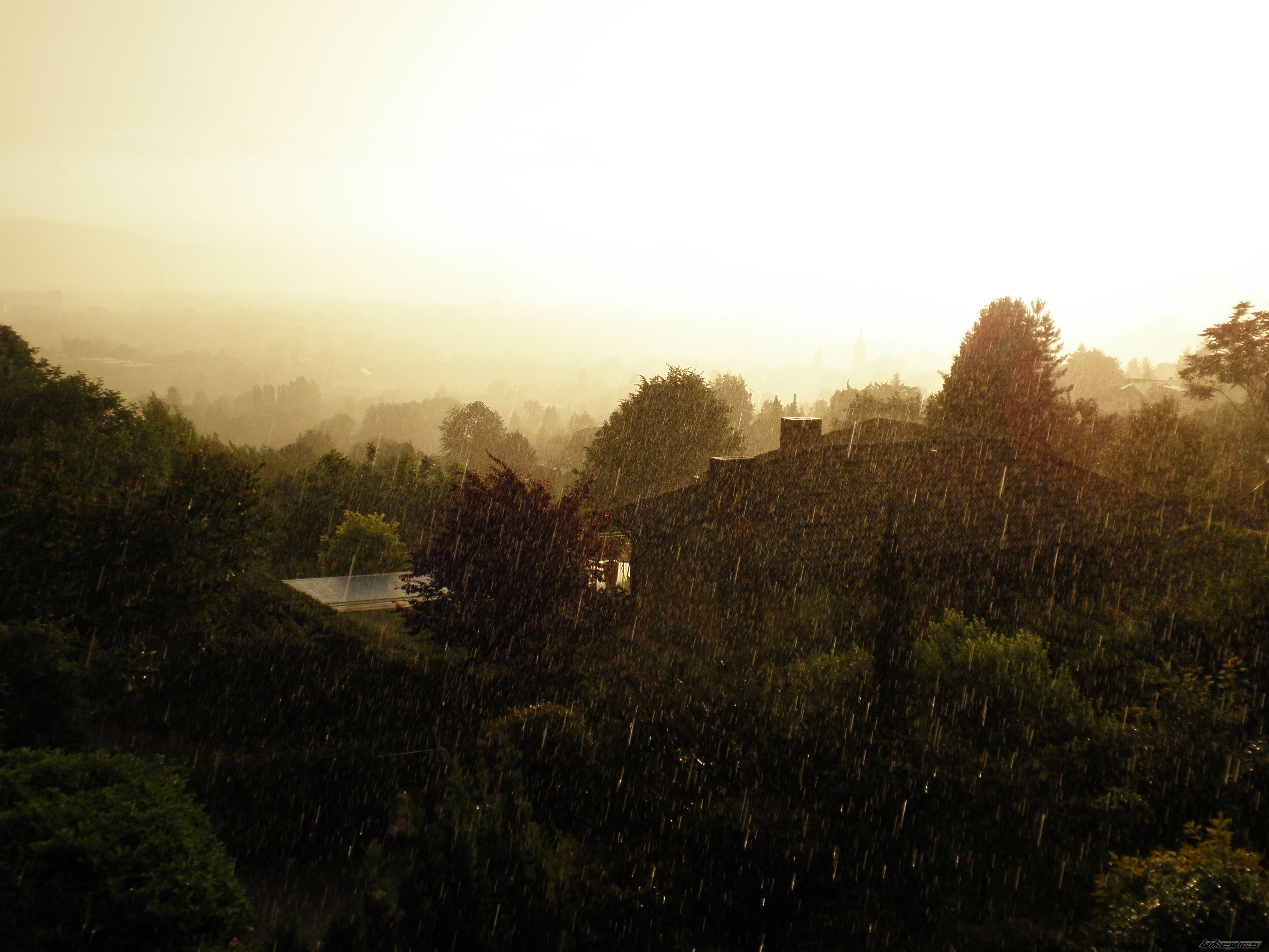 Photo 1691551