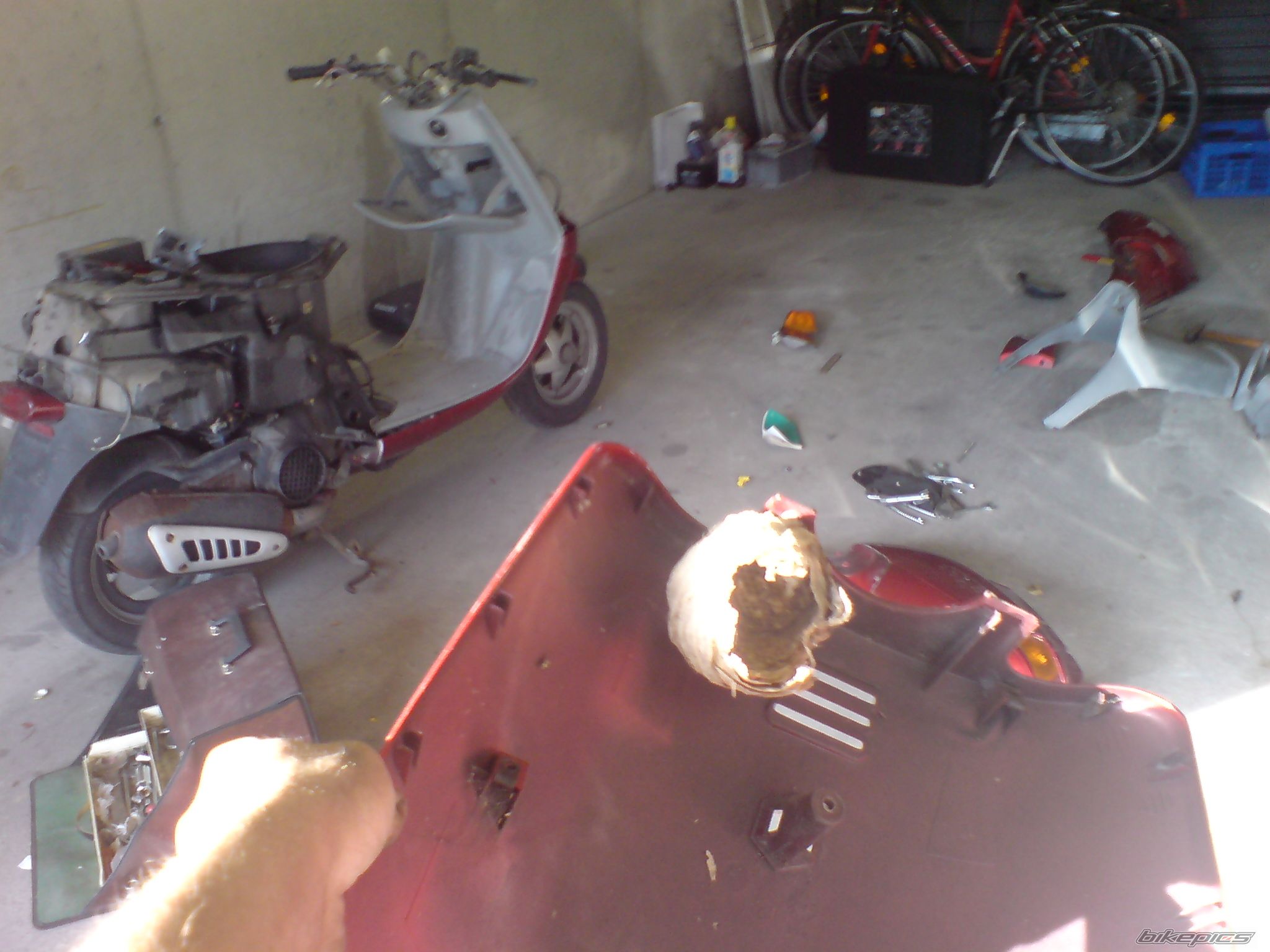 Photo 1691555