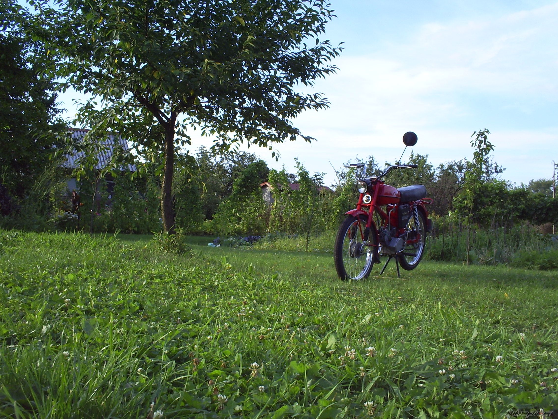Bike Photo 1691607