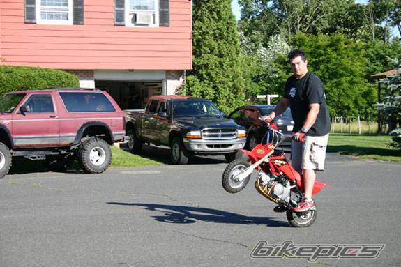 Photo 169166