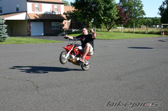 Photo 169172